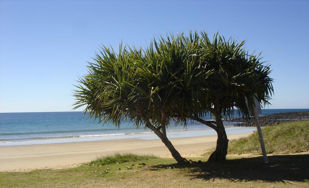 Koola Beach Apartments Bargara Dış mekan fotoğraf